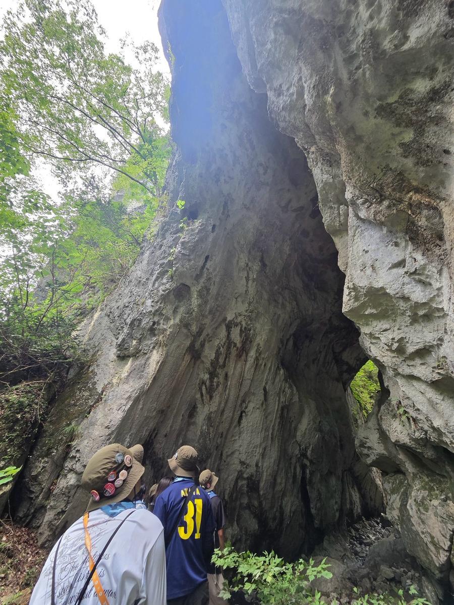 新緑の山で、そびえ立つ岩壁を見上げるスカウトたち